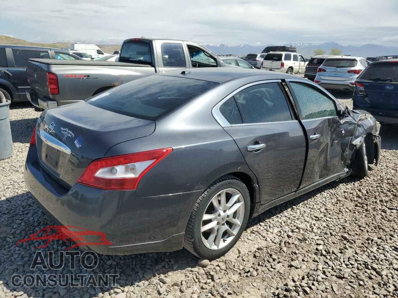 NISSAN MAXIMA 2009 - 1N4AA51E59C829110