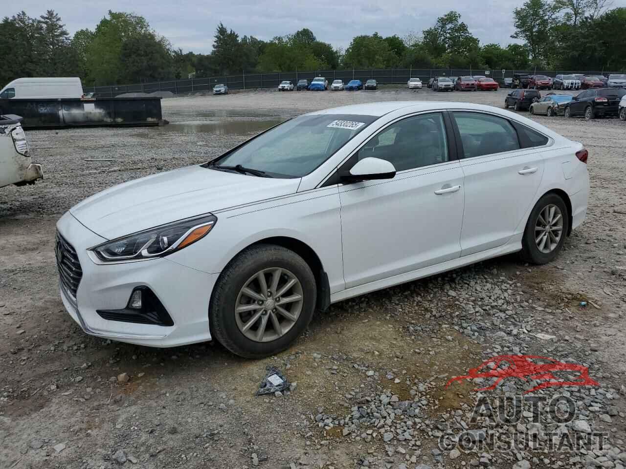 HYUNDAI SONATA 2019 - 5NPE24AF3KH812487
