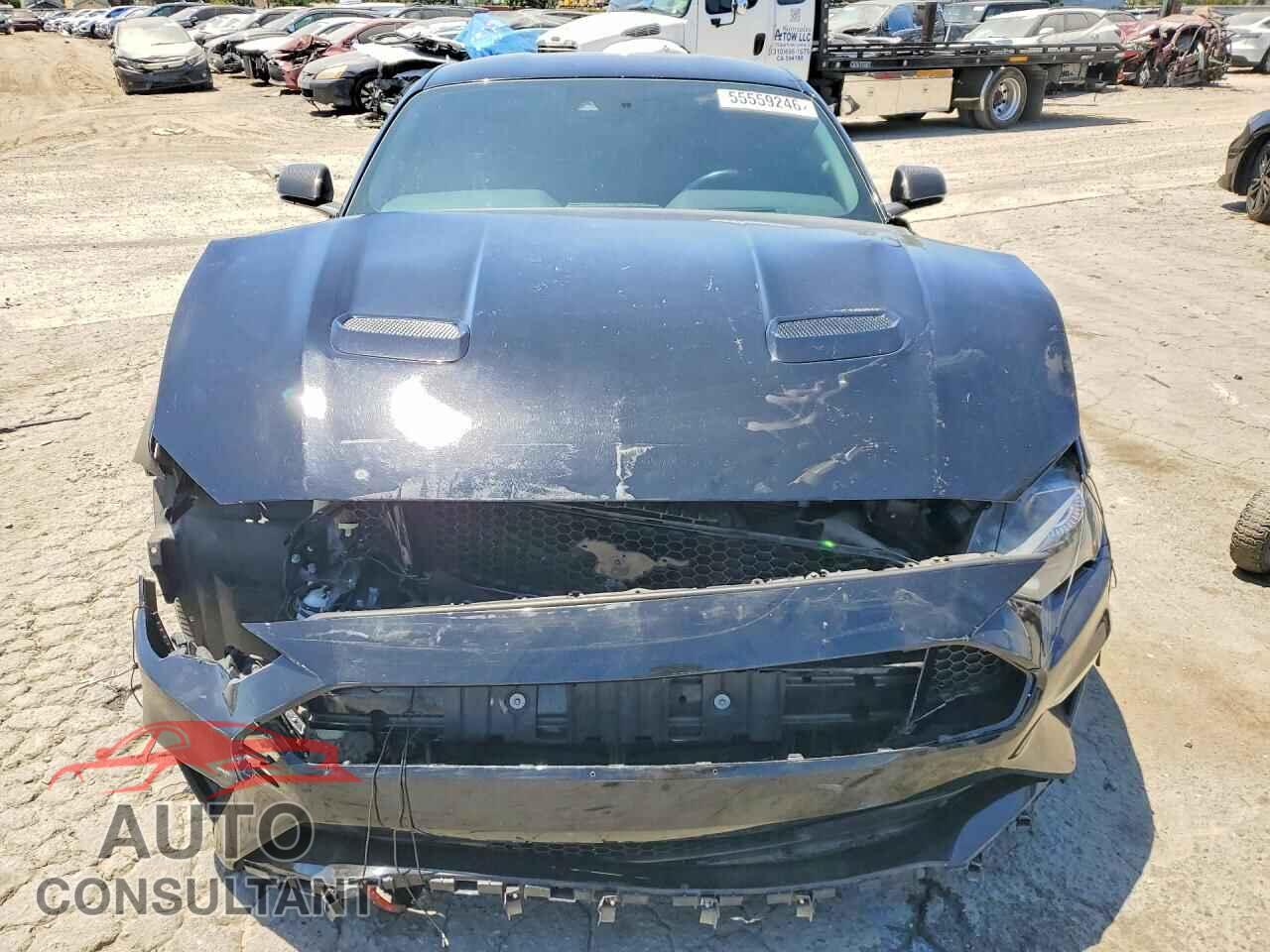 FORD MUSTANG 2019 - 1FA6P8CF7K5169108