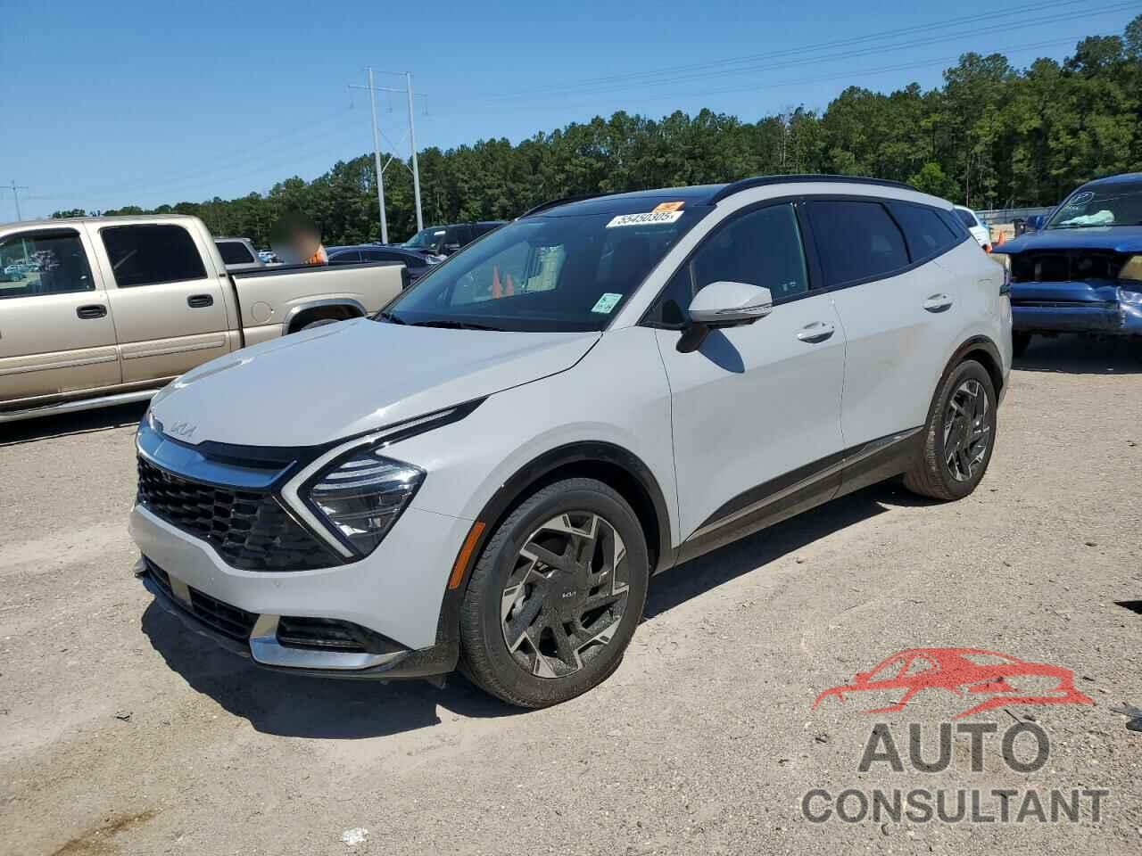 KIA SPORTAGE 2024 - 5XYK53DF8RG186324