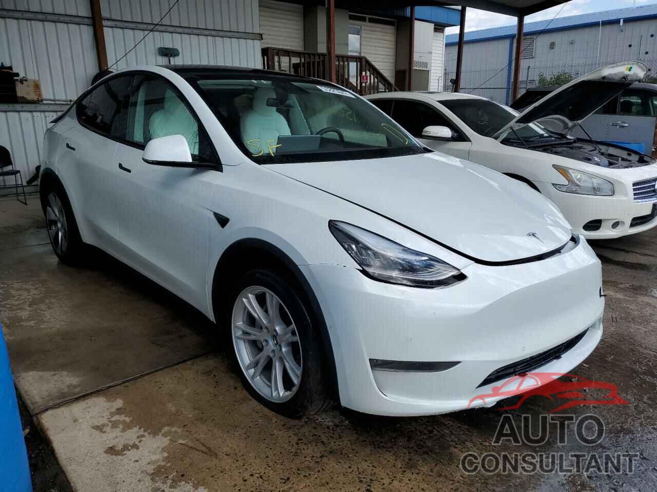 TESLA MODEL Y 2021 - 5YJYGDEE2MF083092