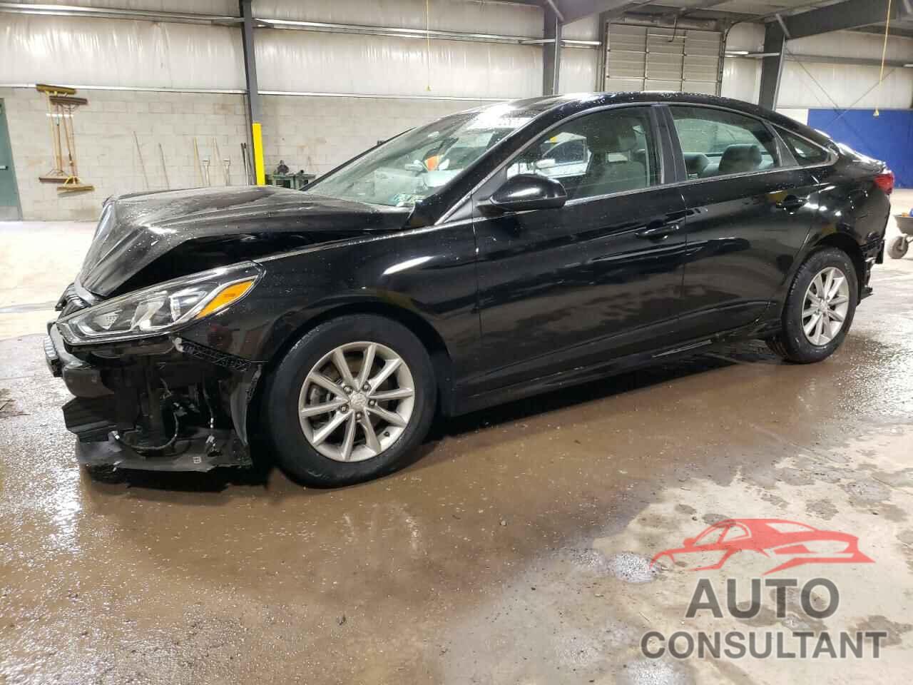 HYUNDAI SONATA 2019 - 5NPE24AF7KH819636