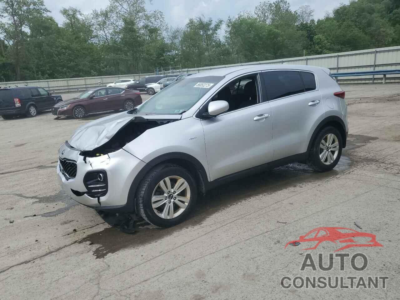 KIA SPORTAGE 2019 - KNDPMCACXK7562642