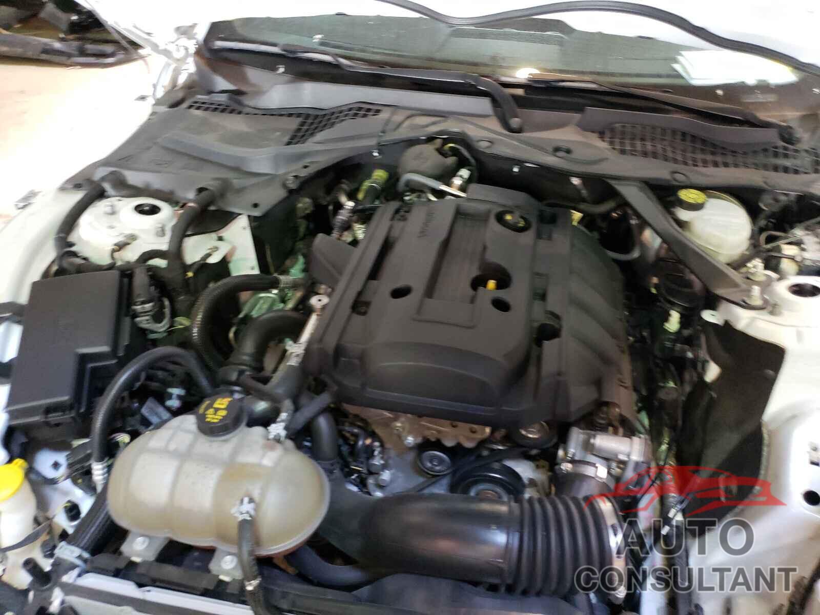 FORD MUSTANG 2019 - 1FATP8UH6K5109825