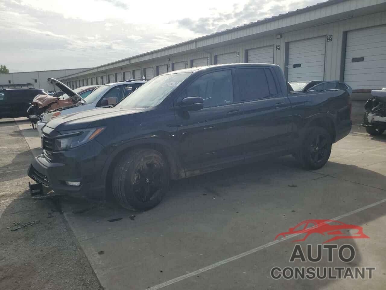 HONDA RIDGELINE 2021 - 5FPYK3F81MB009705
