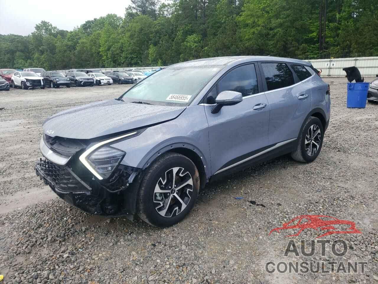 KIA SPORTAGE 2024 - 5XYK33DF0RG206250