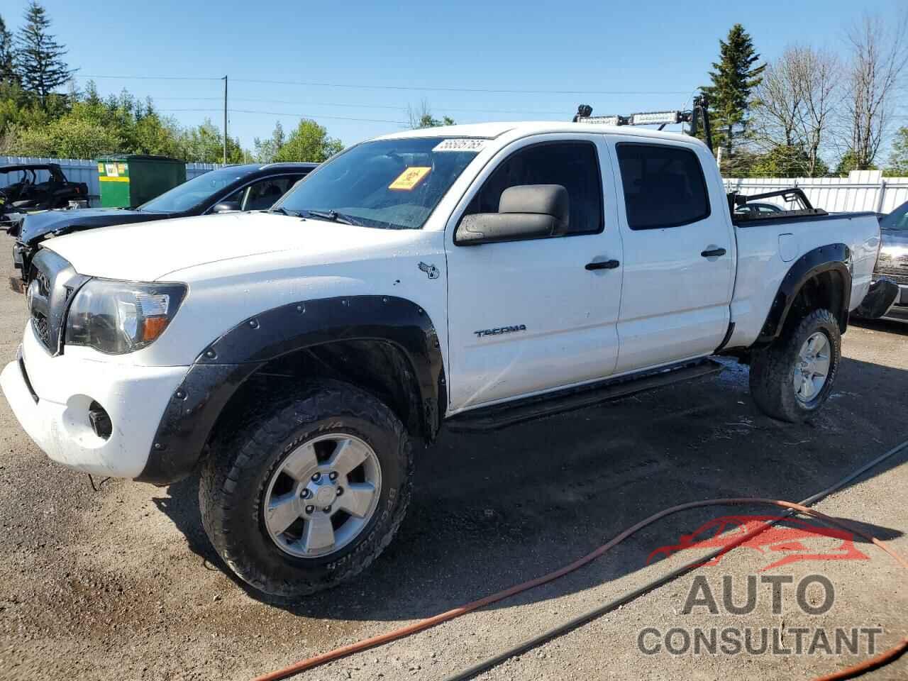 TOYOTA TACOMA 2011 - 5TFMU4FN3BX002545