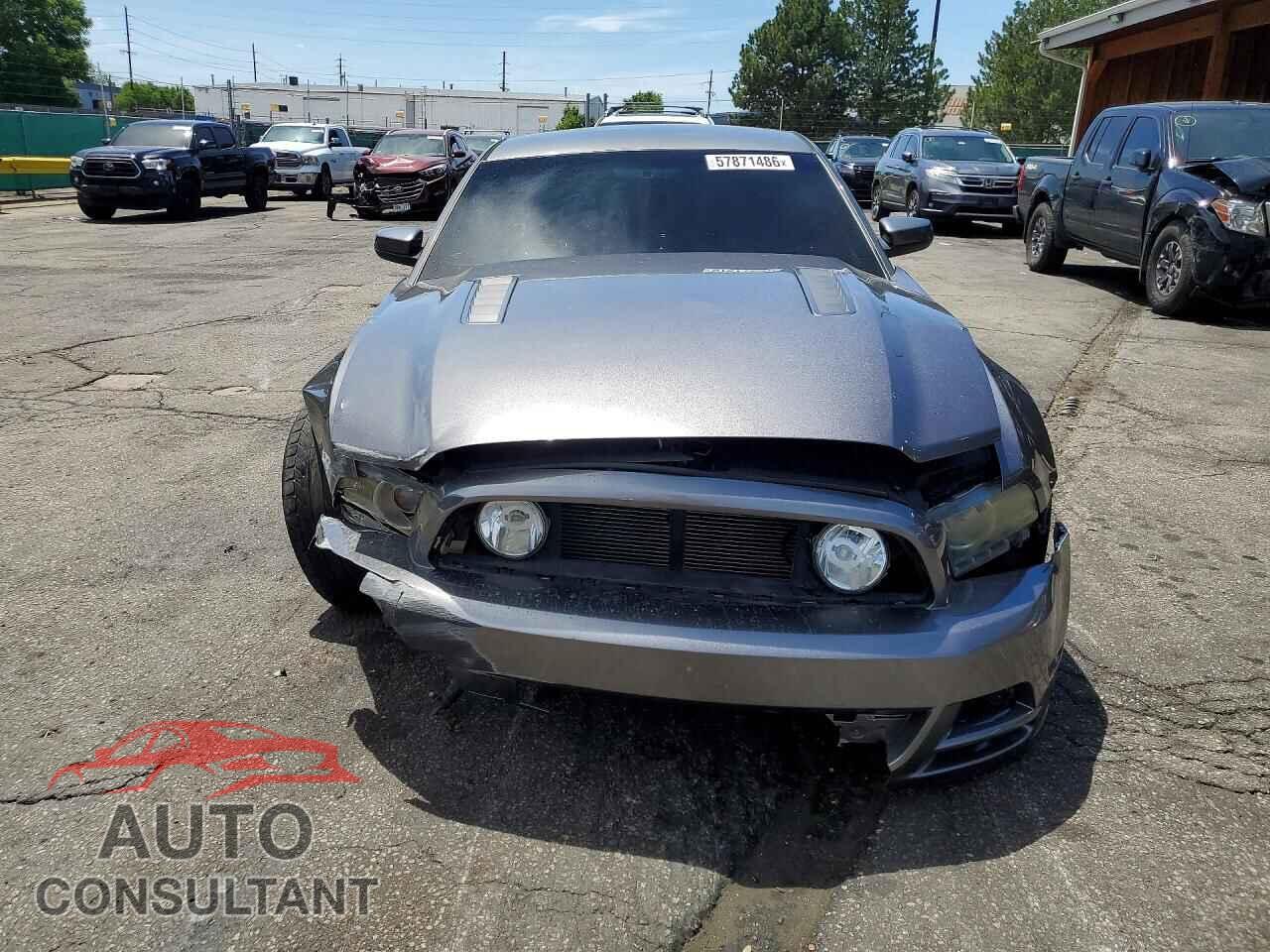 FORD MUSTANG 2013 - 1ZVBP8CF8D5231205
