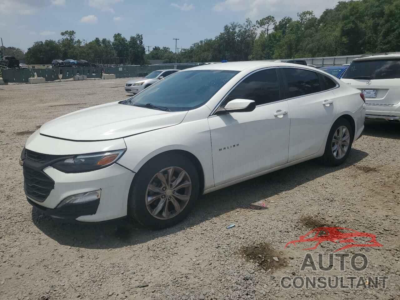 CHEVROLET MALIBU 2019 - 1G1ZD5ST5KF164837