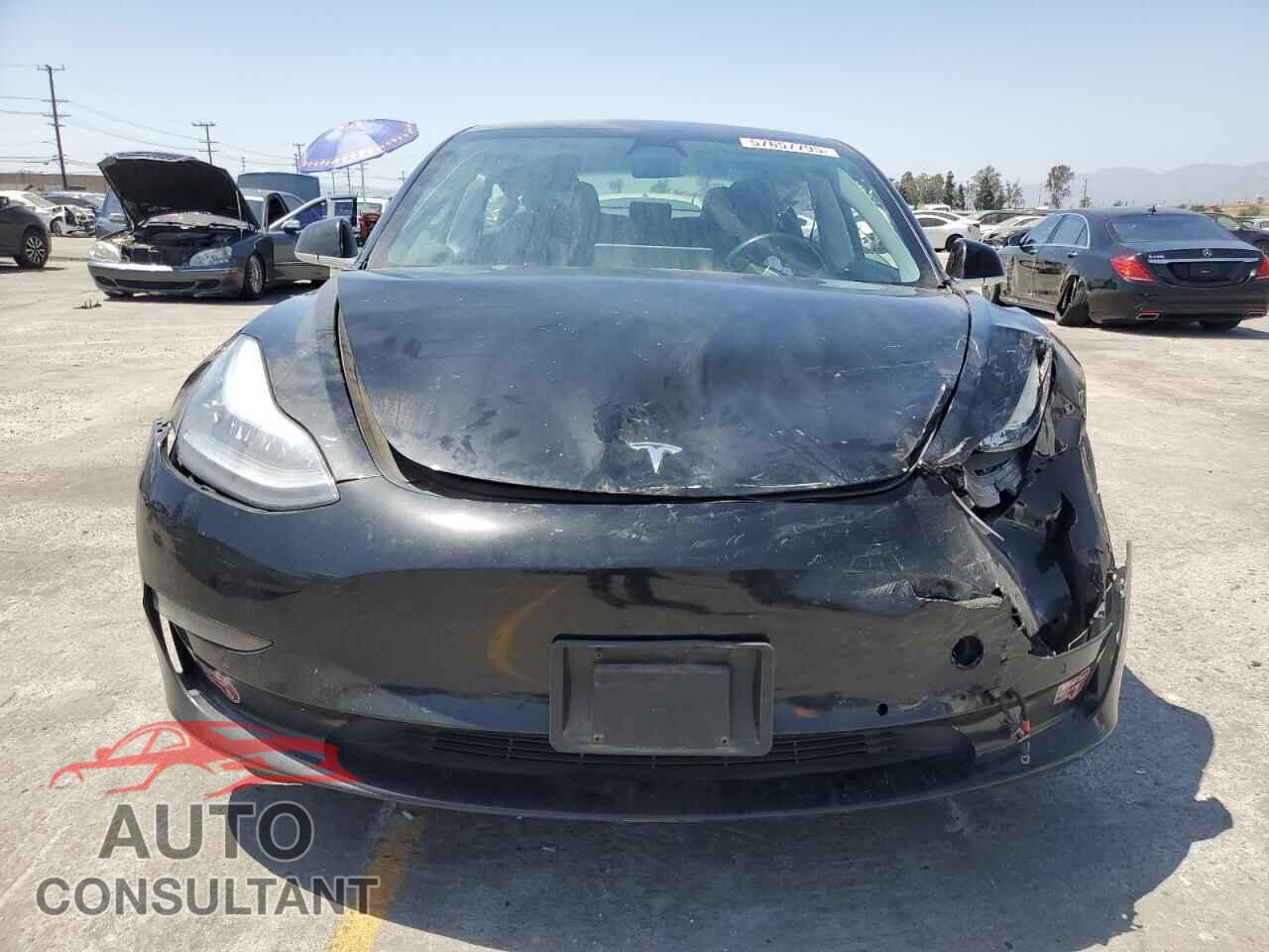 TESLA MODEL 3 2019 - 5YJ3E1EA8KF300377