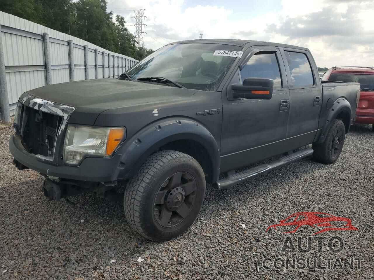 FORD F-150 2010 - 1FTEW1C8XAFC82271