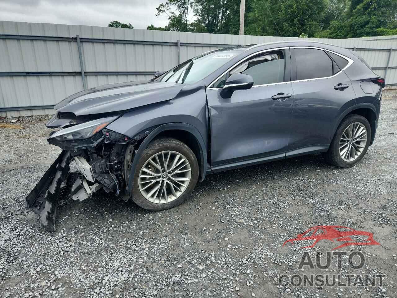 LEXUS NX 350H 2022 - JTJGKCEZ3N2004957