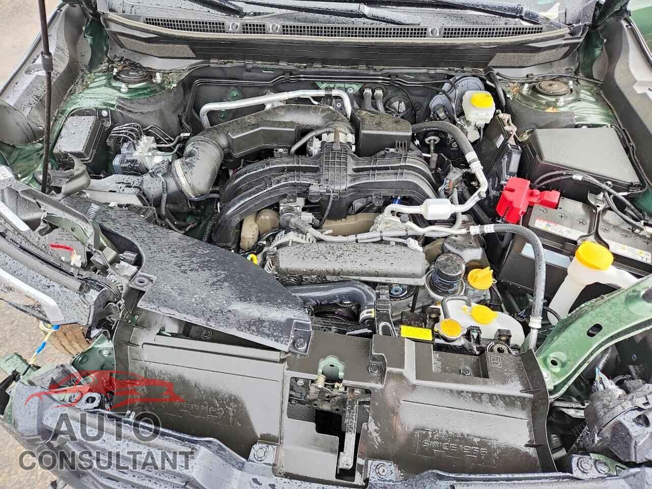 SUBARU OUTBACK 2026 - JF2BUPDD5TY455968