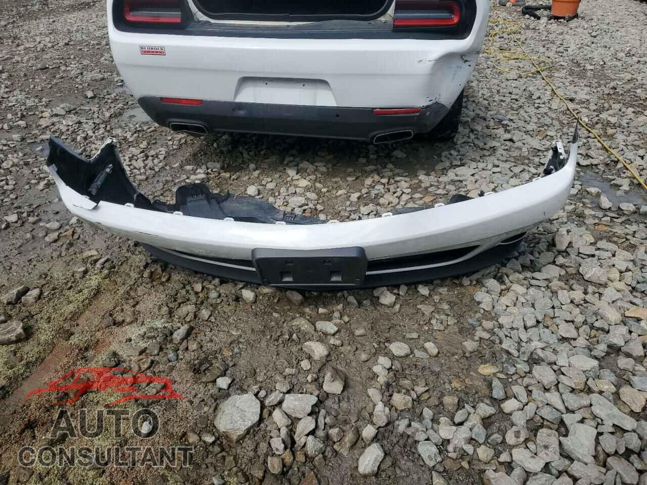 DODGE CHALLENGER 2019 - 2C3CDZAG9KH524252