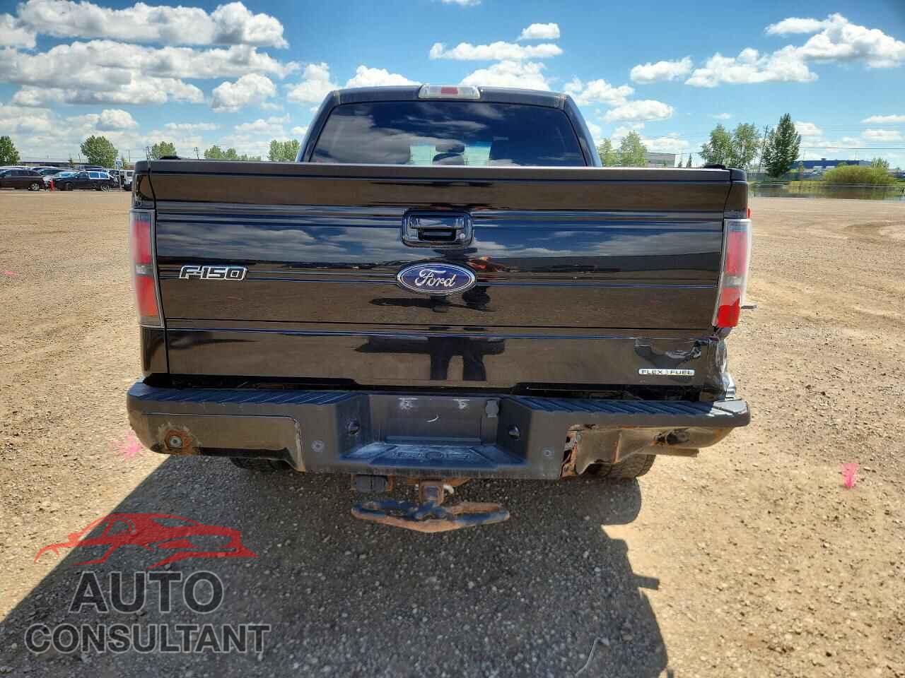 FORD F150 2013 - 1FTFW1EF6DFA83397