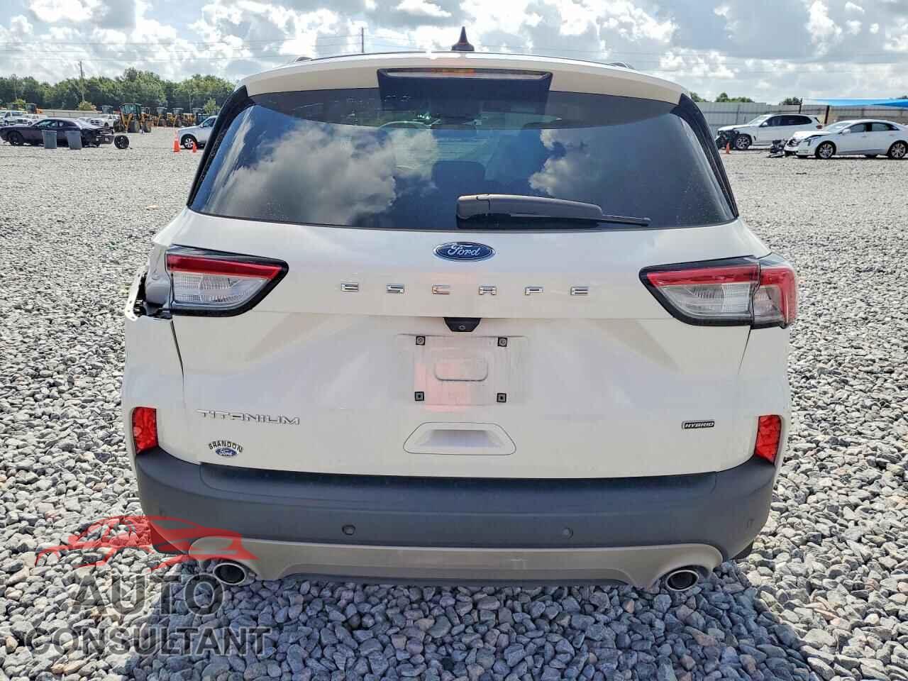 FORD ESCAPE 2020 - 1FMCU0DZ0LUA15763