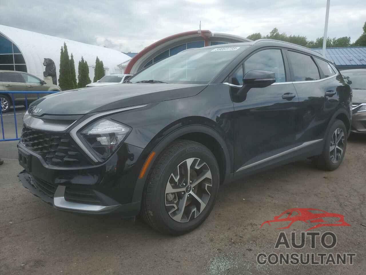 KIA SPORTAGE 2023 - 5XYK3CAF5PG013156