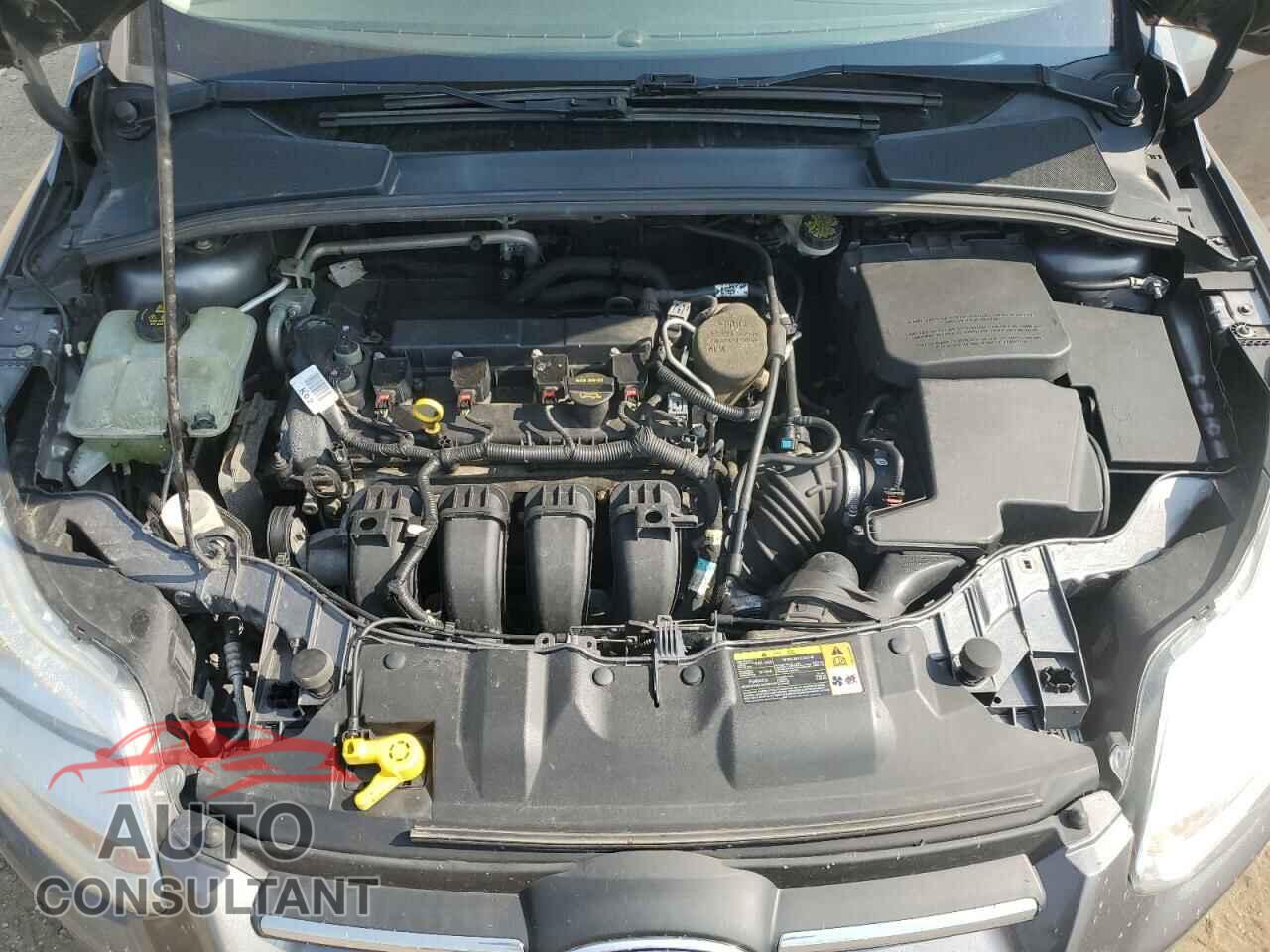 FORD FOCUS 2014 - 1FADP3K29EL206670