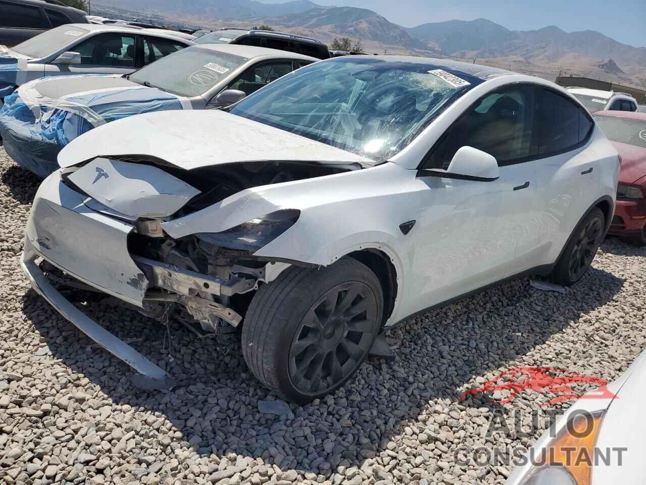 TESLA MODEL Y 2024 - 7SAYGAEE7RF079127