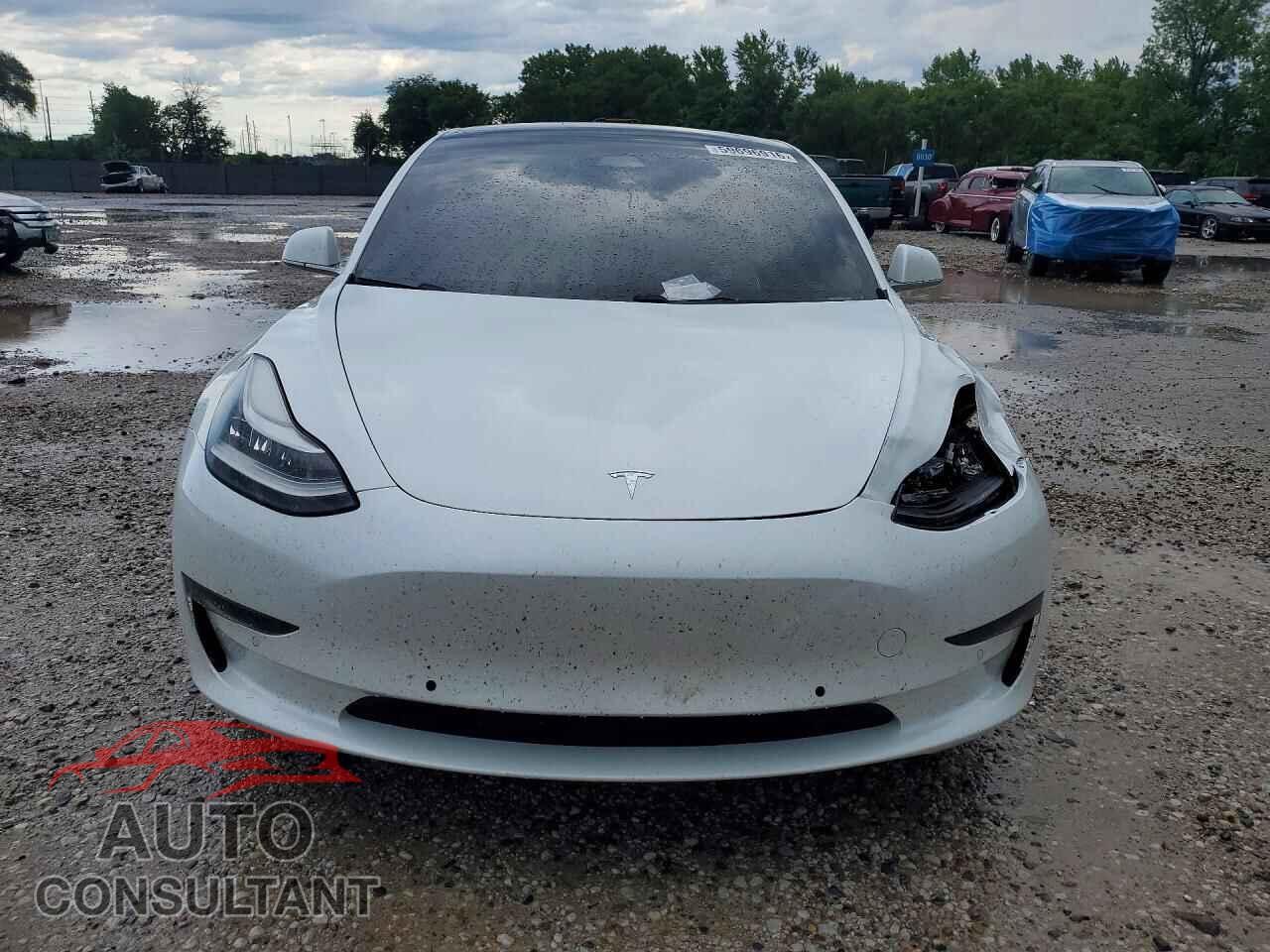 TESLA MODEL 3 2019 - 5YJ3E1EAXKF482955