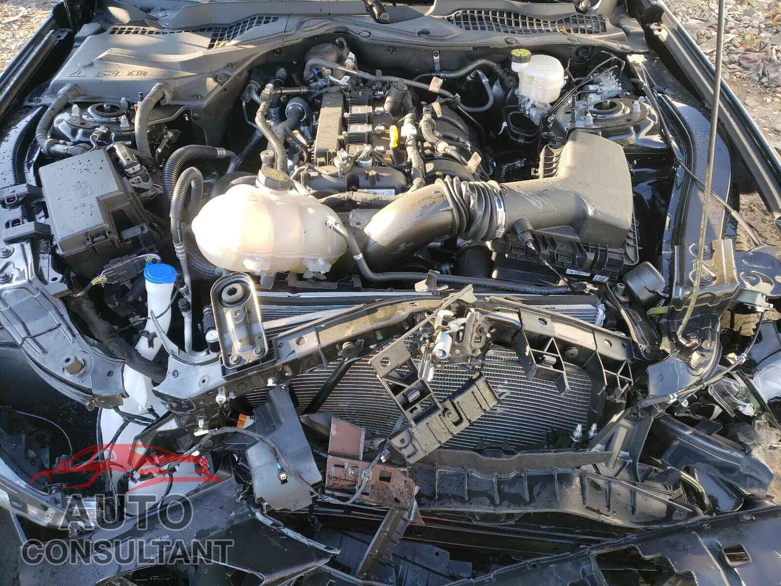FORD MUSTANG 2021 - 1FA6P8TH3M5124719