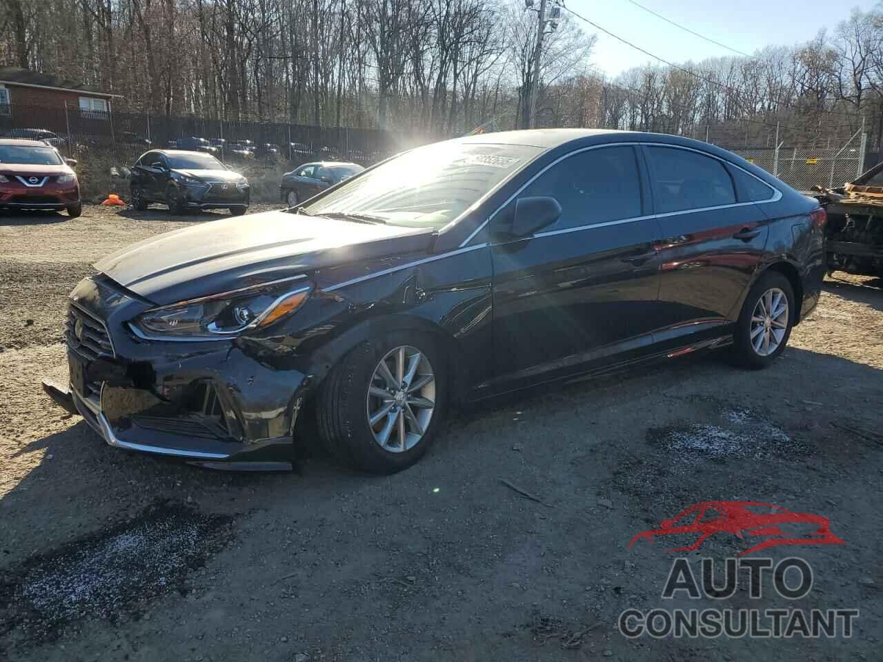 HYUNDAI SONATA 2019 - 5NPE24AF7KH751838