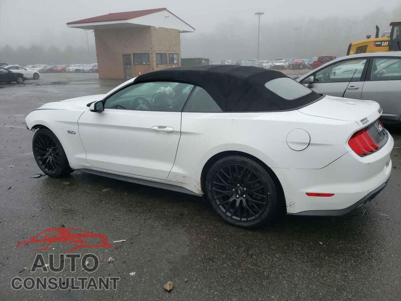 FORD MUSTANG 2019 - 1FATP8FF2K5128920