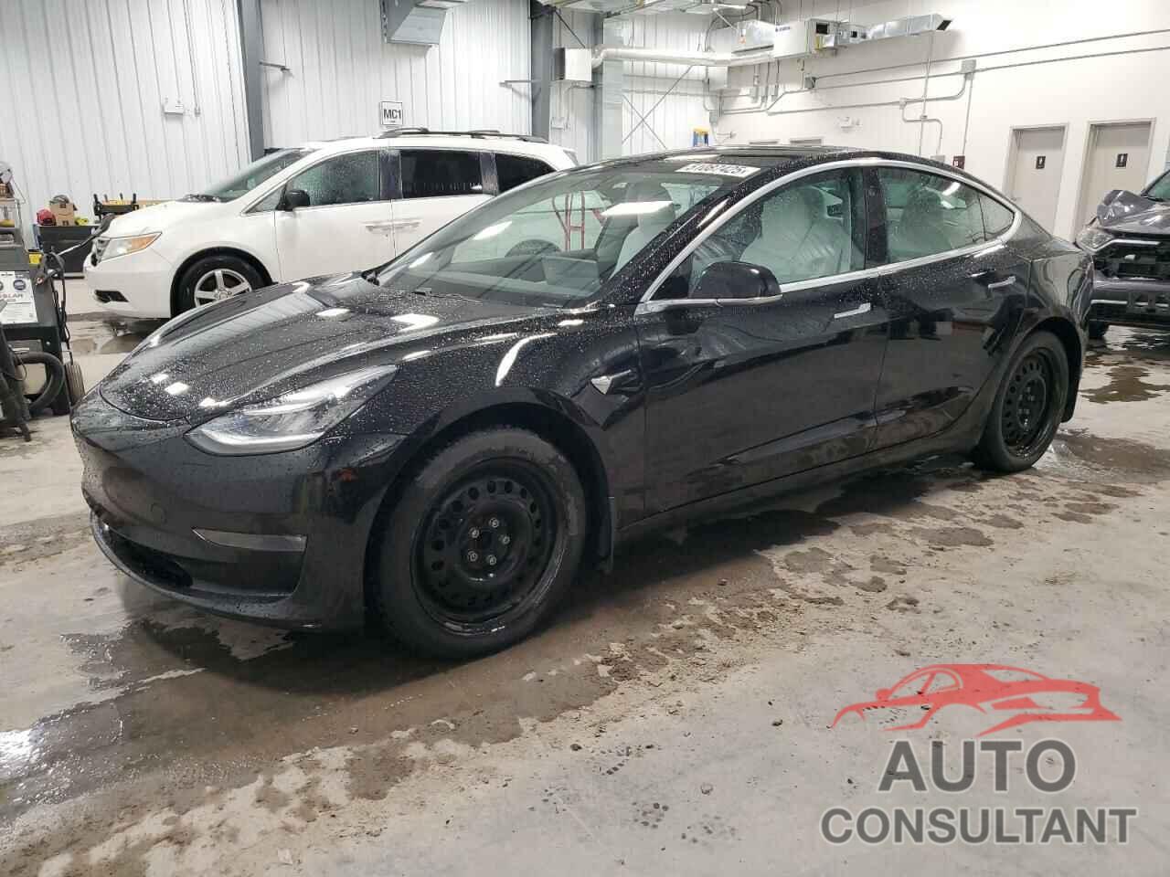 TESLA MODEL 3 2019 - 5YJ3E1EA5KF407757