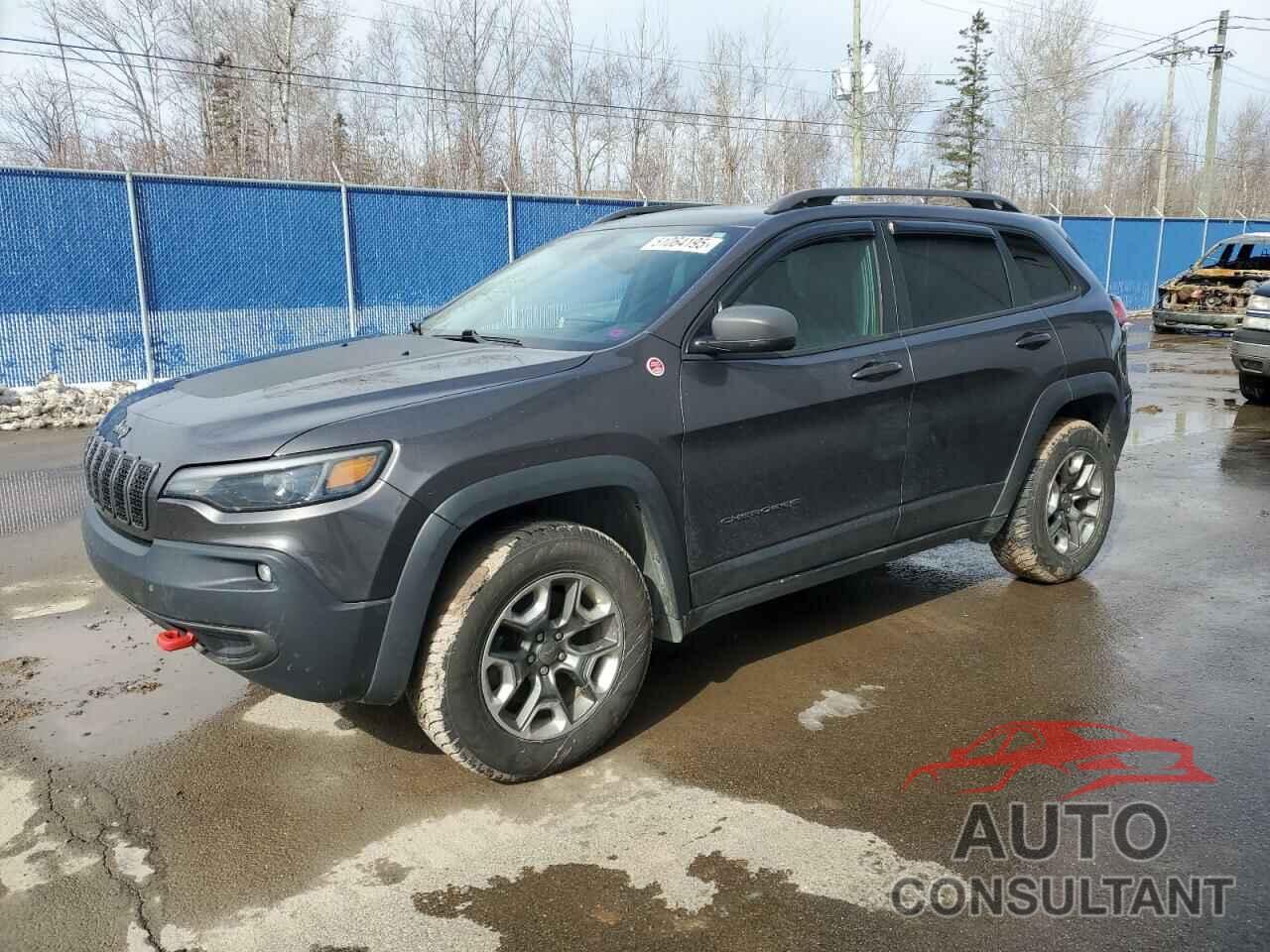 JEEP CHEROKEE 2019 - 1C4PJMBX5KD193027