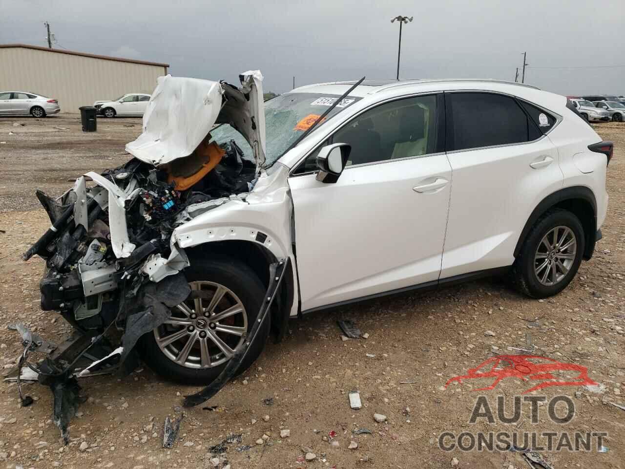 LEXUS NX 2021 - JTJDARDZ1M5029332