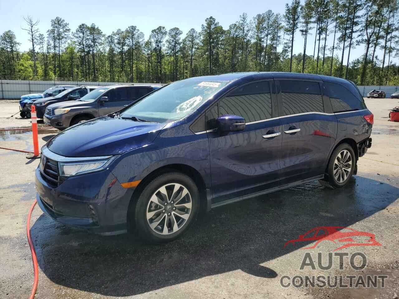 HONDA All Models 2022 - 5FNRL6H79NB035700