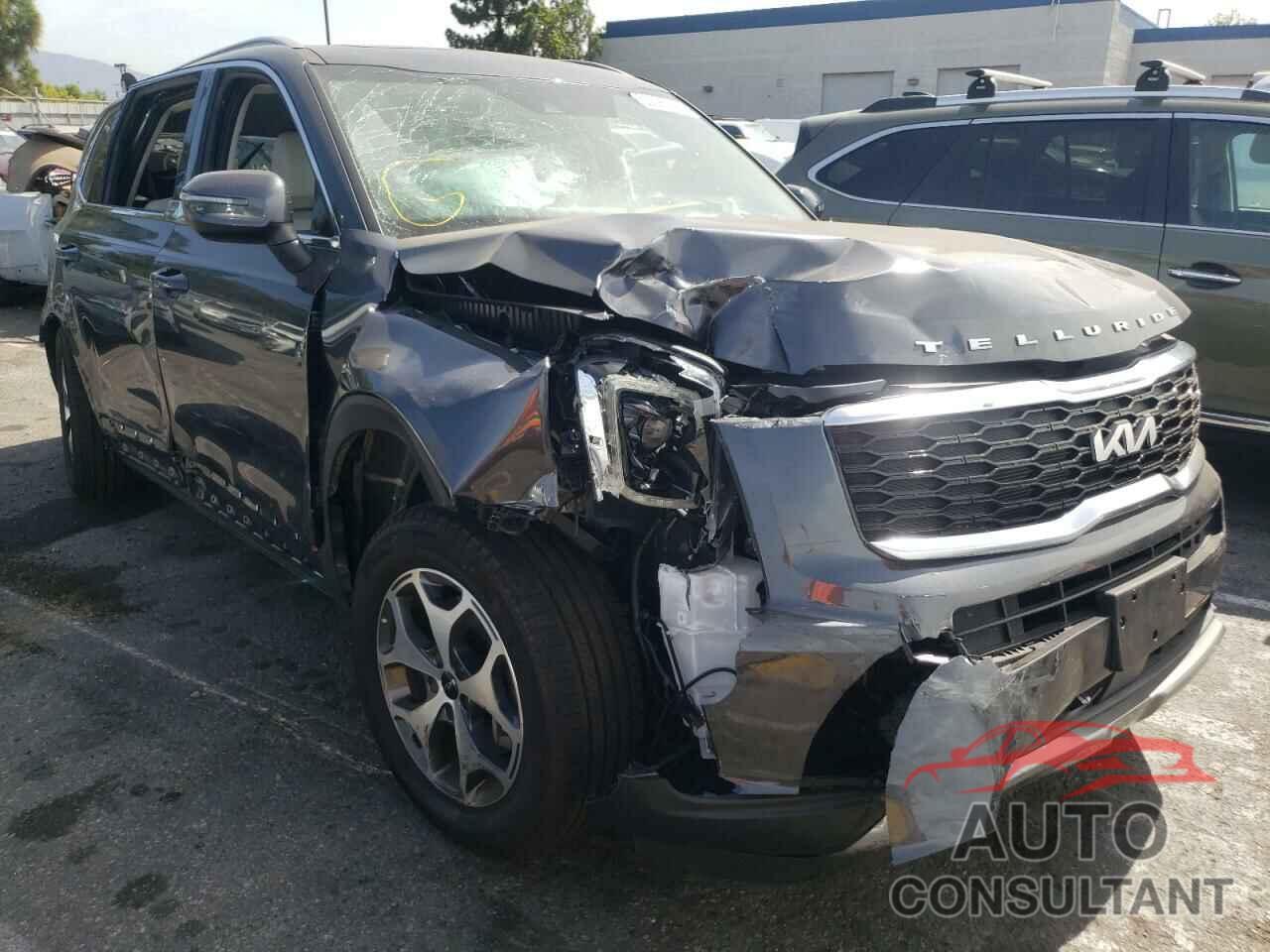 KIA TELLURIDE 2022 - 5XYP3DHC4NG221291