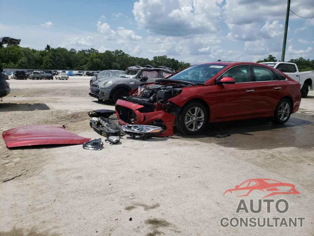 HYUNDAI SONATA 2019 - 5NPE34AF4KH817520