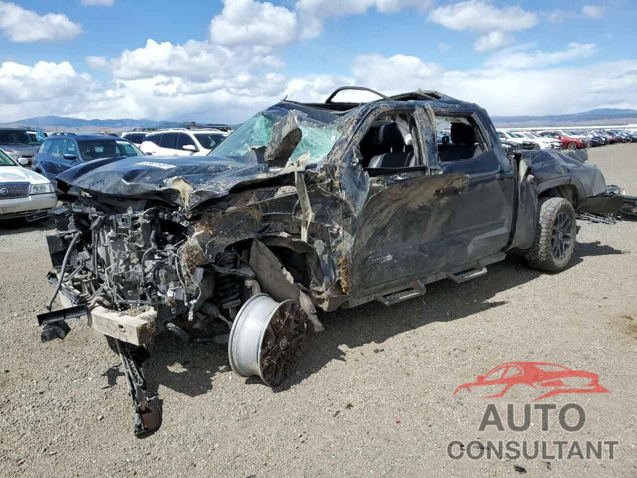 TOYOTA TUNDRA 2023 - 5TFNA5EC6PX017566