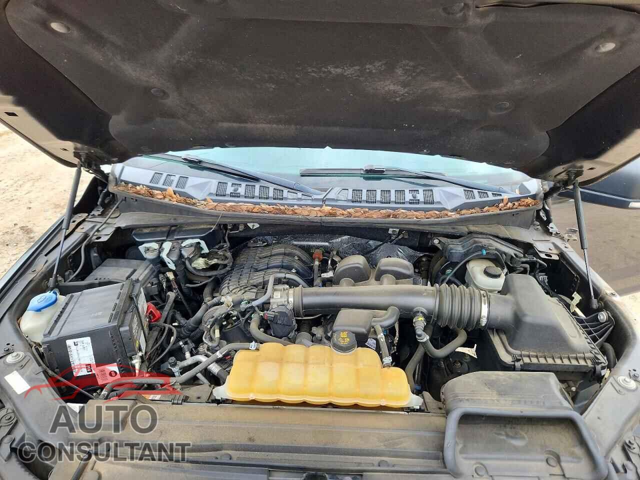 FORD F150 2019 - 1FTEW1EB7KFC10468