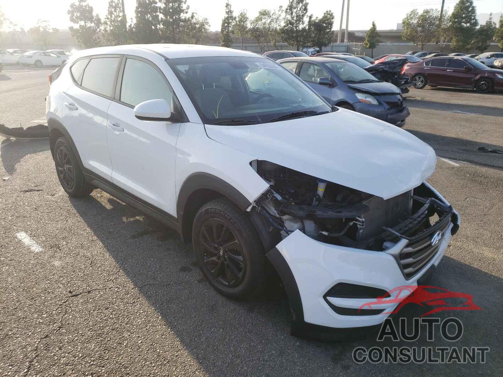 HYUNDAI TUCSON 2017 - KM8J23A43HU441865