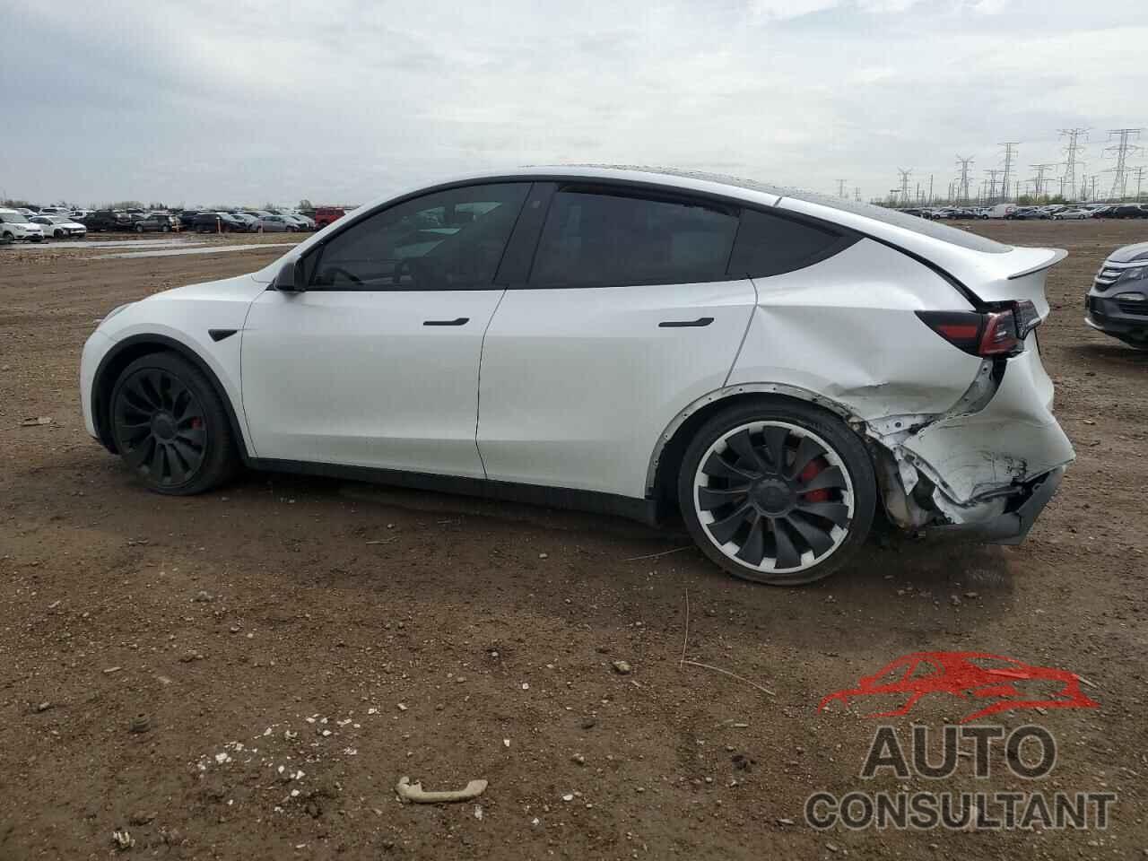 TESLA MODEL Y 2022 - 7SAYGDEF5NF380905