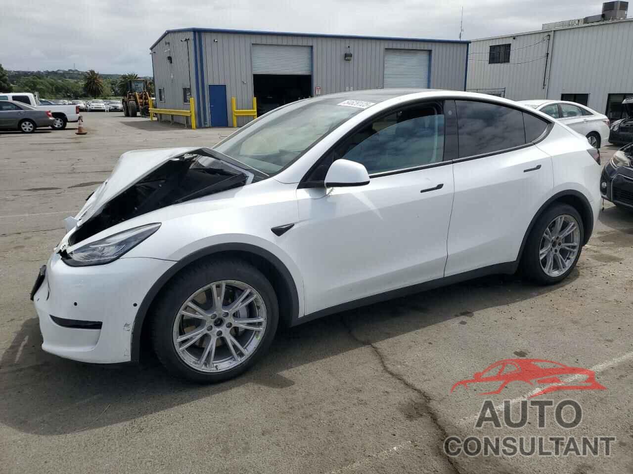 TESLA MODEL Y 2022 - 7SAYGAEE7NF506140