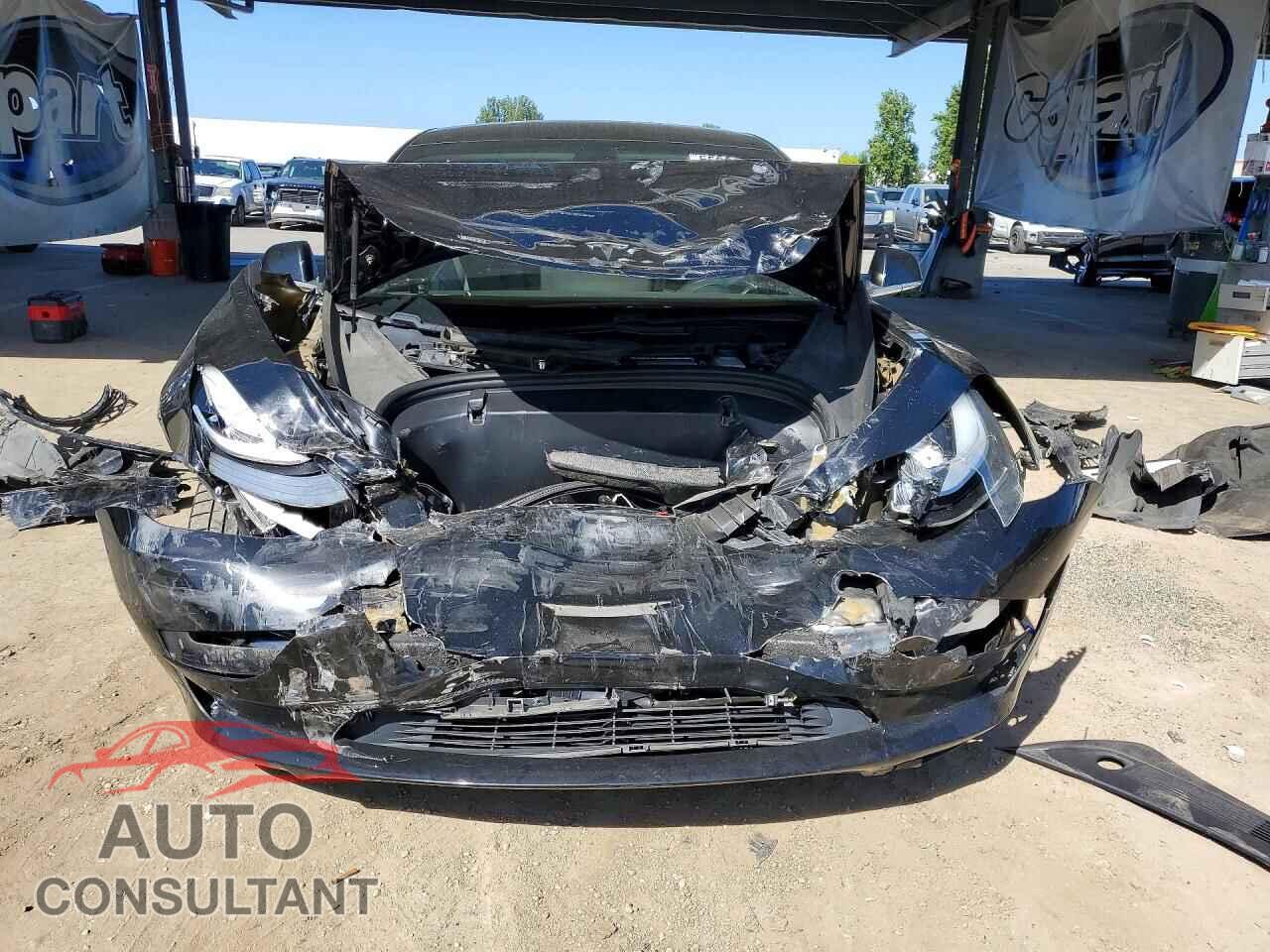 TESLA MODEL 3 2019 - 5YJ3E1EA1KF316792