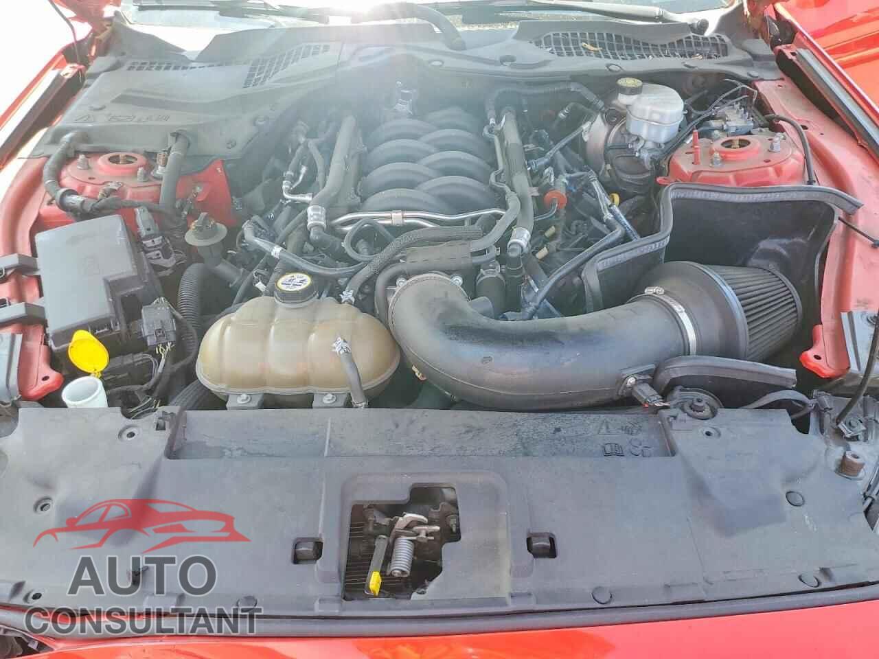 FORD MUSTANG 2019 - 1FA6P8CF2K5153057
