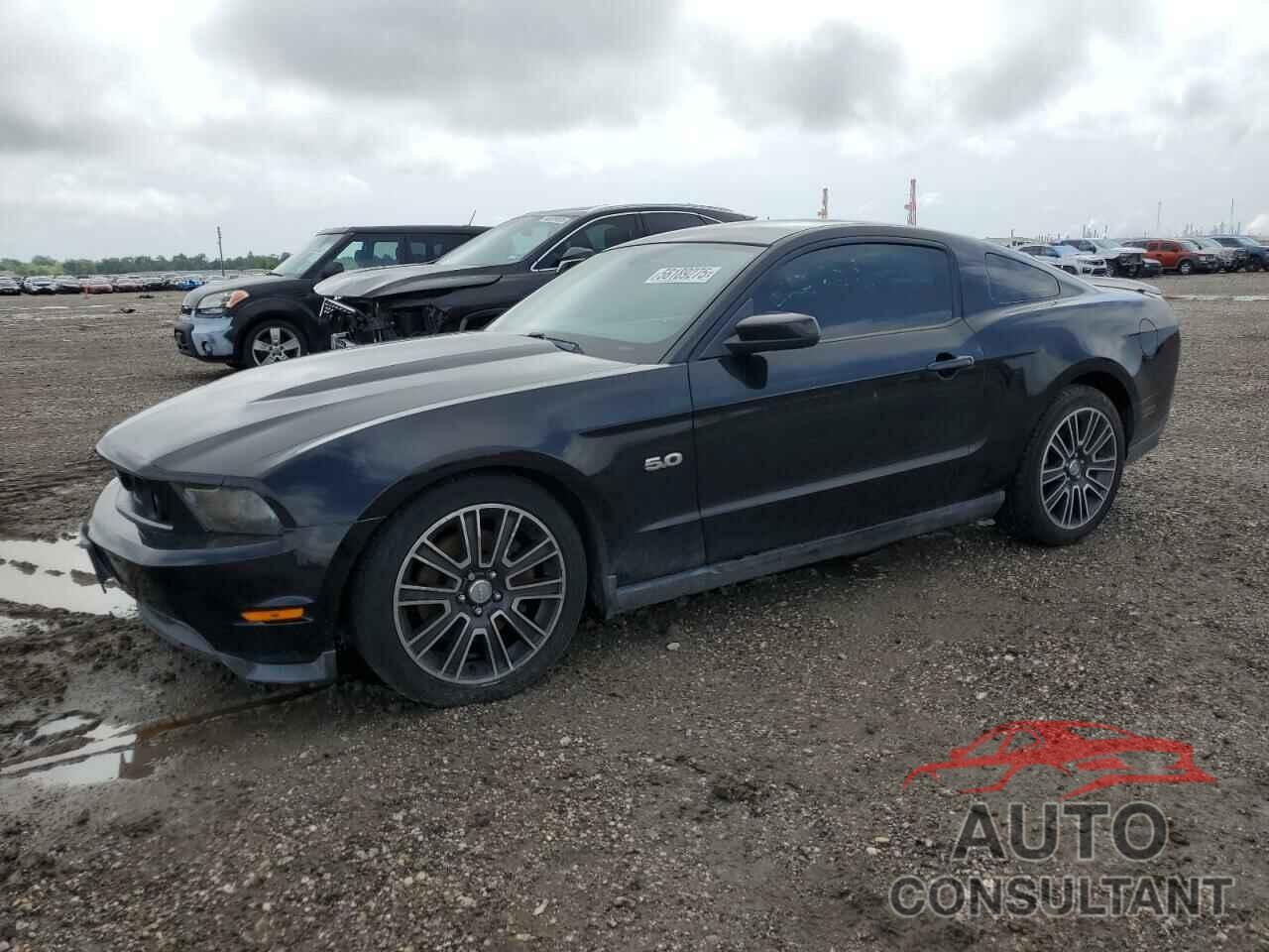 FORD MUSTANG 2011 - 1ZVBP8CF1B5153556