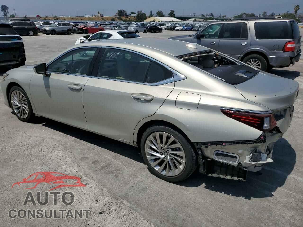LEXUS ES300 2019 - JTHB21B1XK2025041