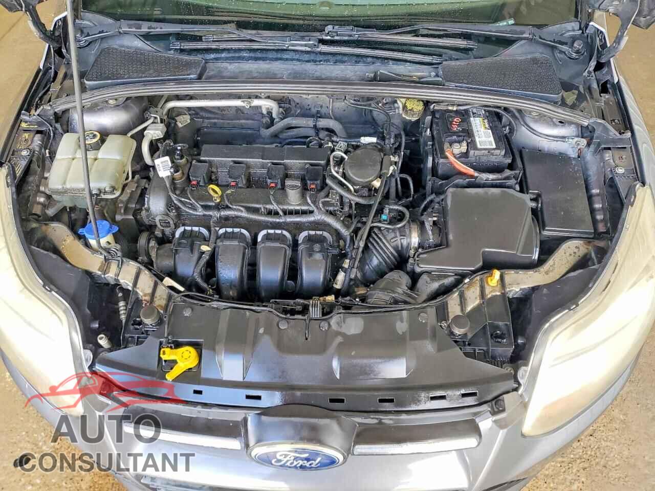 FORD FOCUS 2014 - 1FADP3F25EL397286