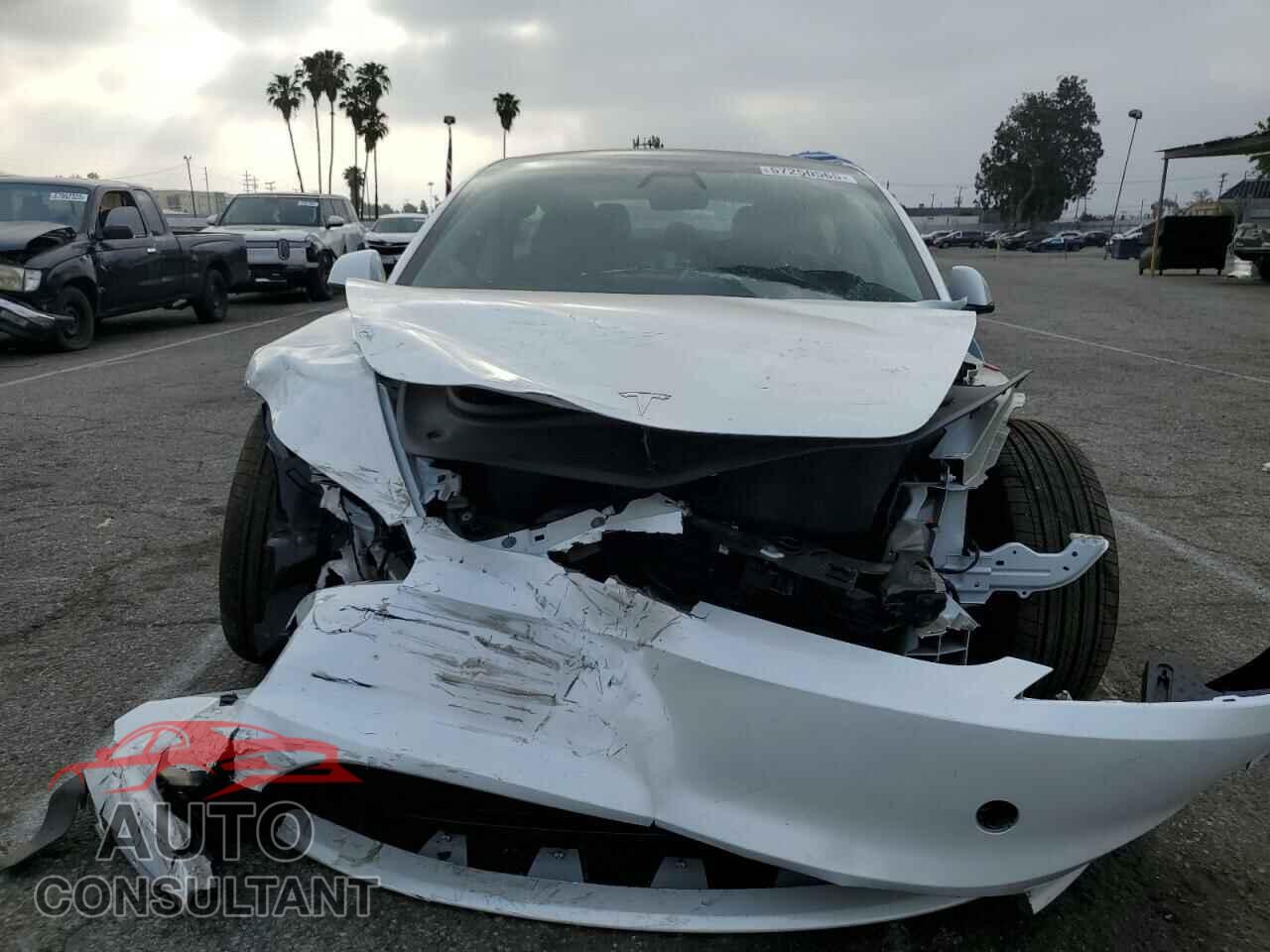 TESLA MODEL 3 2025 - 5YJ3E1EA7SF001043