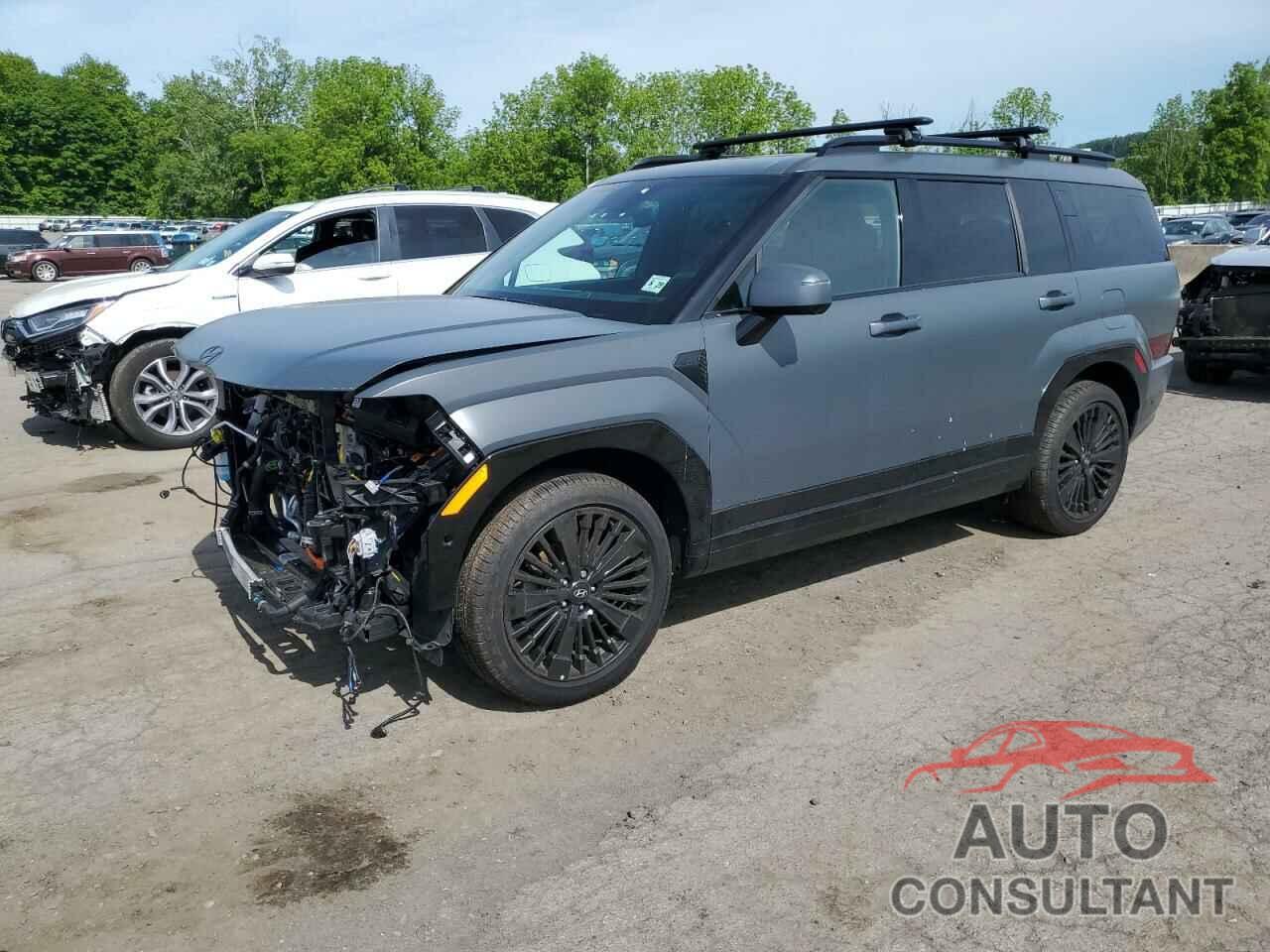 HYUNDAI SANTA FE 2024 - 5NMP5DG13RH013666