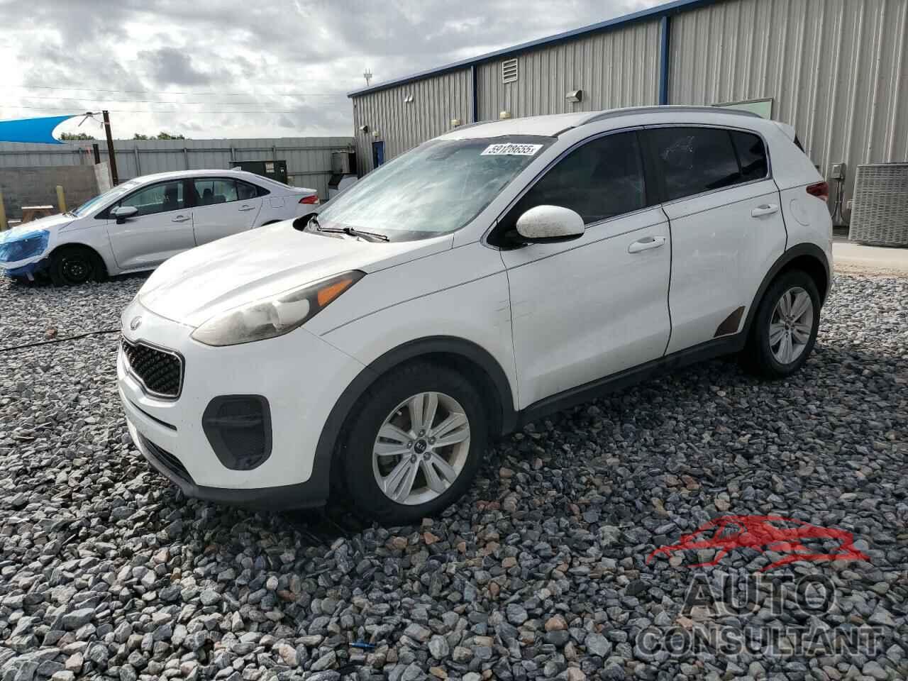KIA SPORTAGE 2017 - KNDPM3AC6H7082803