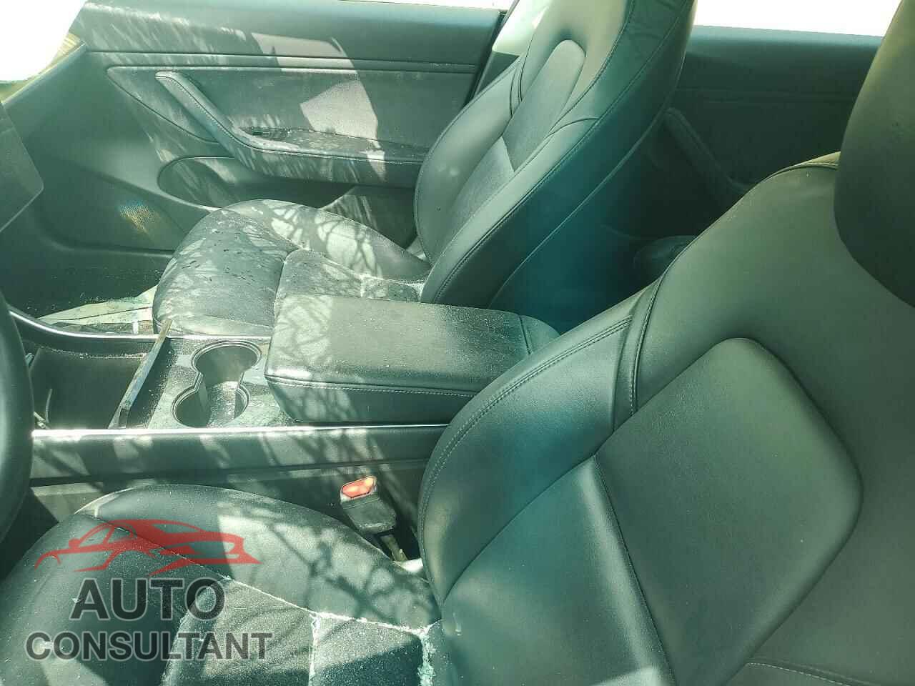 TESLA MODEL 3 2019 - 5YJ3E1EB4KF388014