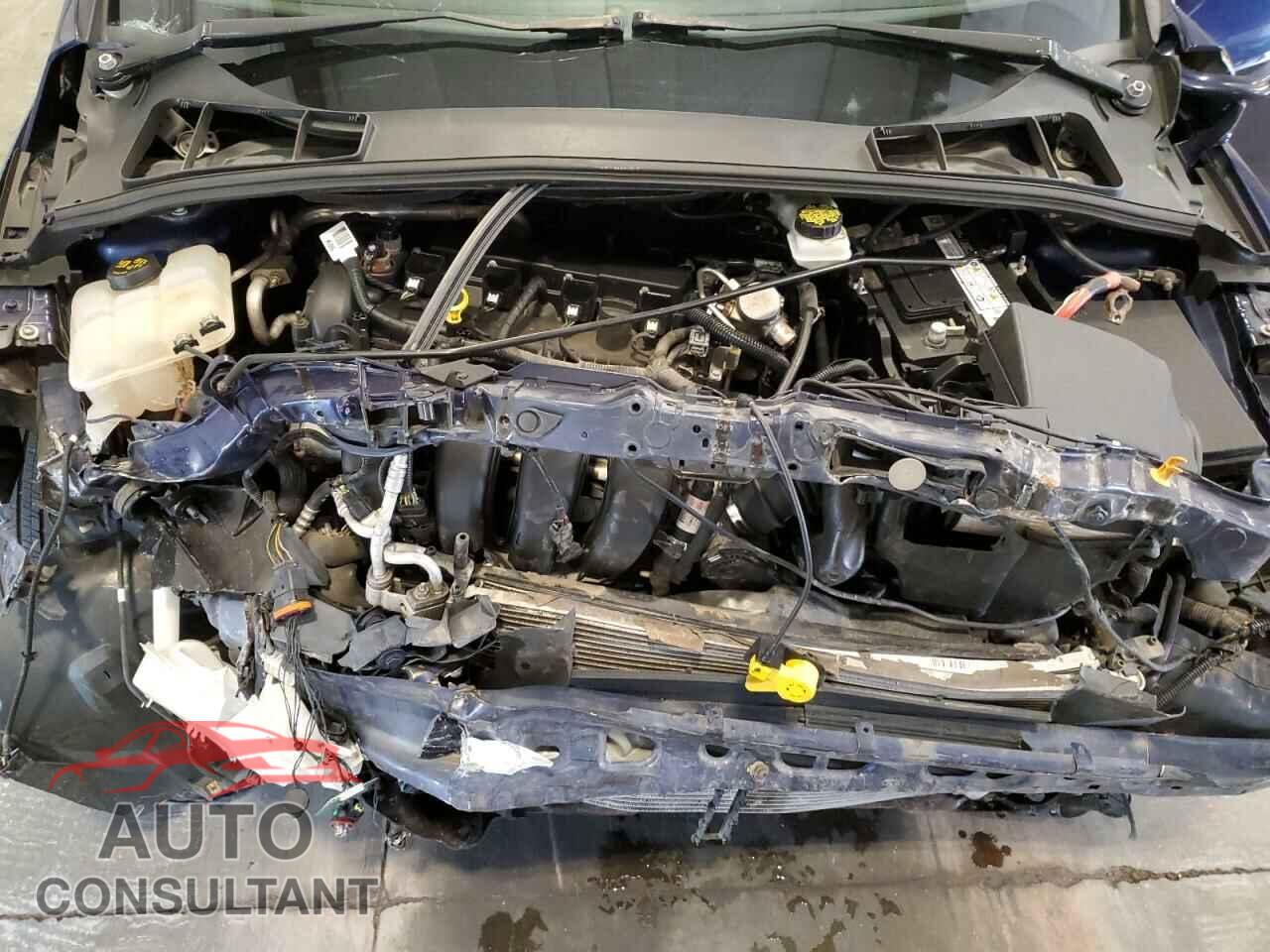 FORD FOCUS 2017 - 1FADP3J23HL205861