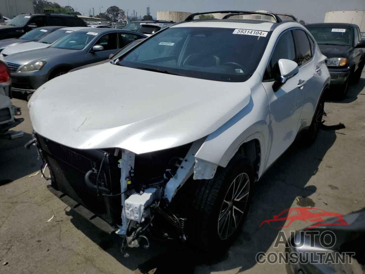 LEXUS NX 350H BA 2024 - JTJAKCEZ6R5016563