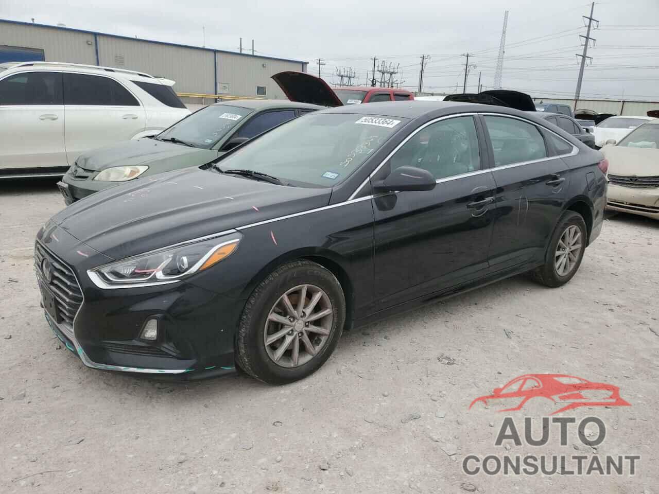 HYUNDAI SONATA 2019 - 5NPE24AF7KH773015